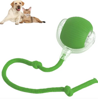 Pet Toys & Supplies
