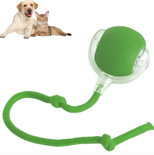 Pet Toys & Supplies